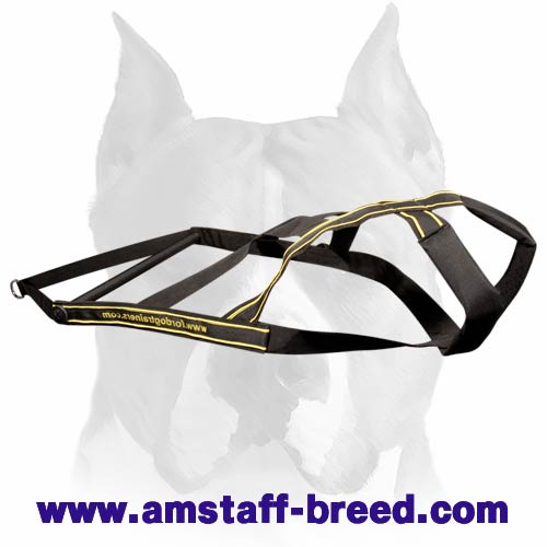 Dog weight pulling harness for Amstaff