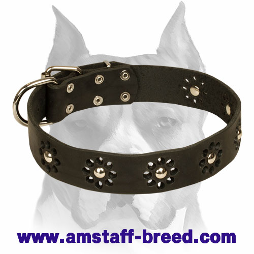 "Flower Blues" Leather Amstaff Collar for Walking in Style - Click Image to Close