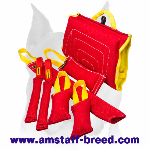 Amstaff ''First Steps in Bite Training'' Set for Puppies