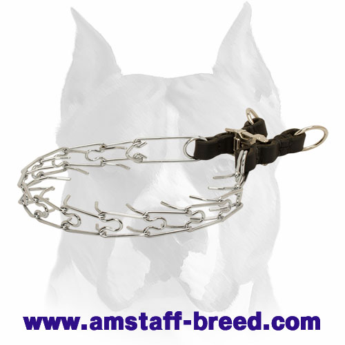 corrective dog leash