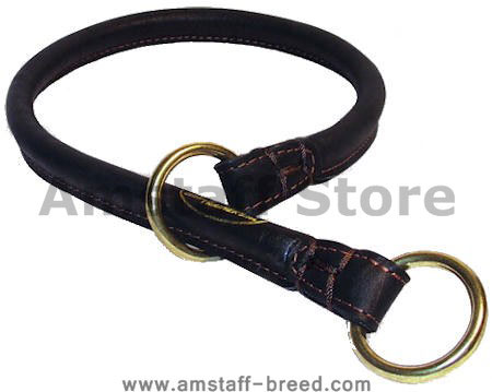 Buy Rolled Leather Dog Collar/Choke Collar for Amstaff