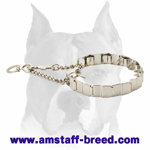 Stainless Neck Tech Dog Prong Collar for Amstaff