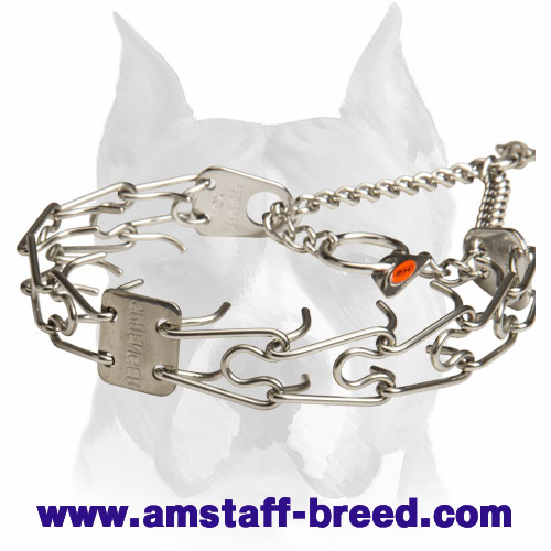 Amstaff Pinch Prong Collar Made of Stainless Steel