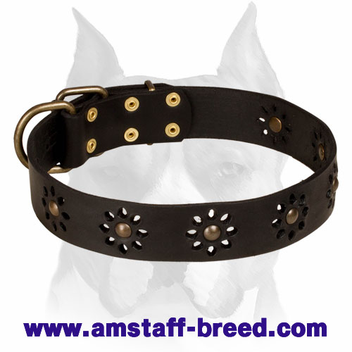 'Spring mood' Leather Amstaff Collar for Joyful Walking