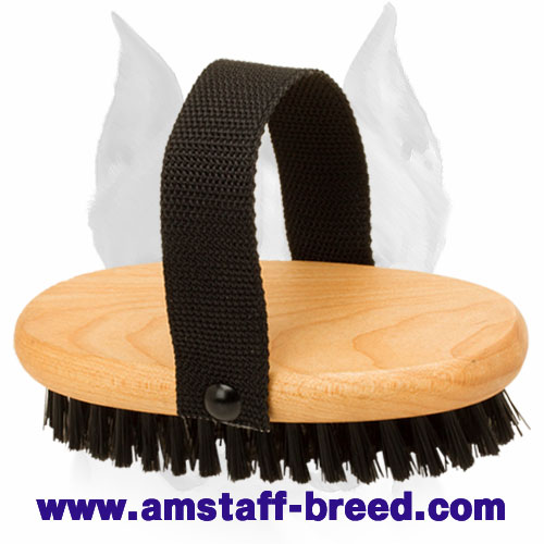 'Brush & Go' Bristle Amstaff Brush for Everyday Grooming