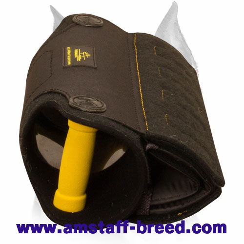 Amstaff Puppies and Young Dogs New Bite X-developer