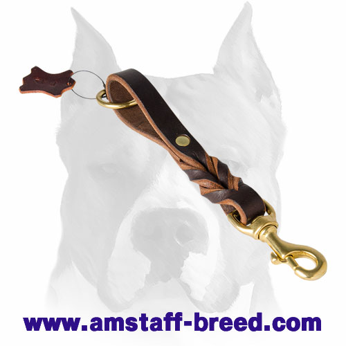 Braided Leather Leash with Handle for all dog breeds