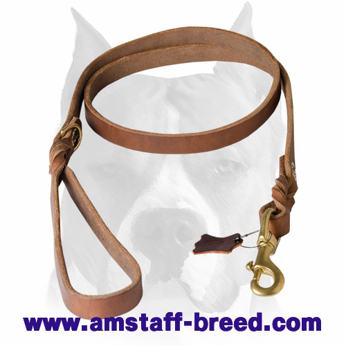 Amstaff Professional Genuine Leather Dog Leash