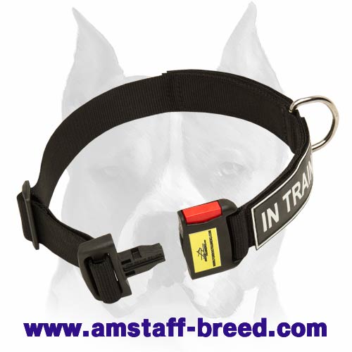 Durable All Weather Nylon Amstaff Dog Collar with identification patches