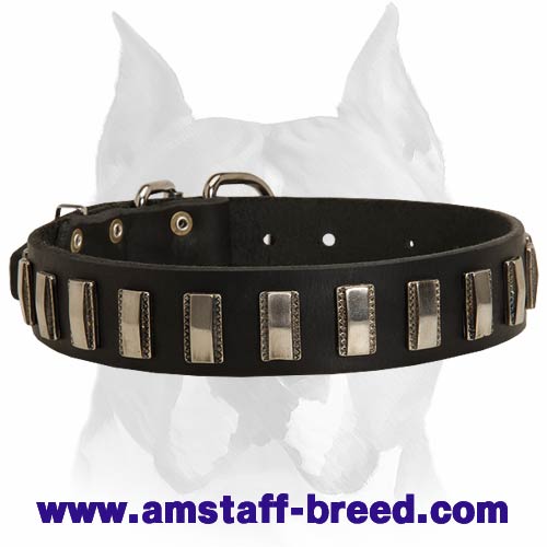Fashionable Amstaff Leather Dog Collar Designed with Shiny Nickel Plates