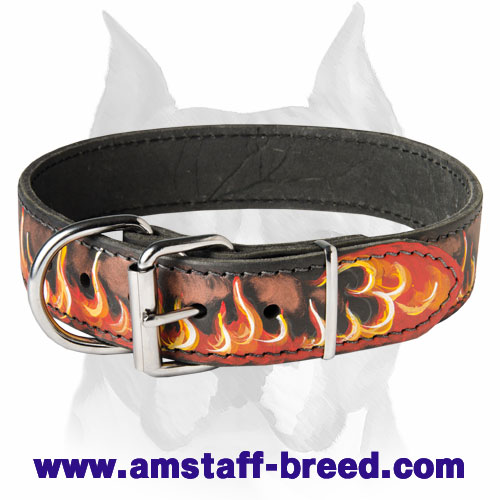 Awesome deals dog harness