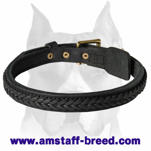 Good-looking braided leather dog collar for Amstaff breed