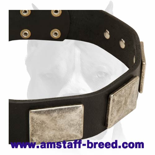 War Dog Leather Collar with awesome hand-set plates for Amstaff