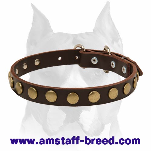 Elegant Stylish Design Leather Amstaff Dog Collar - Click Image to Close