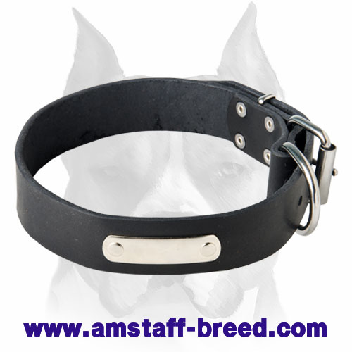 Multipurpose Solid Leather Dog Collar with ID Tag for Amstaff