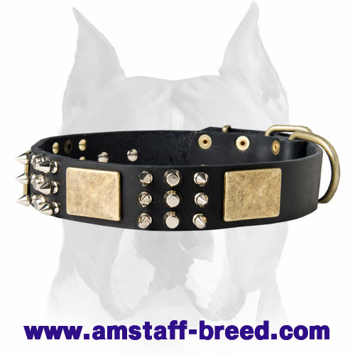 ''Monte Carlo'' Amstaff Leather Collar with Treble Decorations