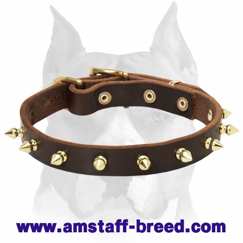 Top Quality Spiked Leather Amstaff Dog Collar