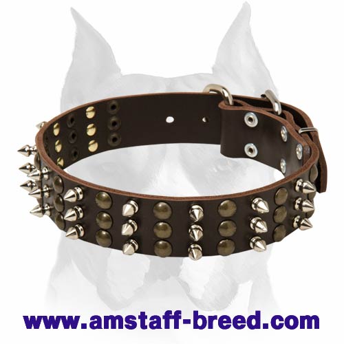 Sparkish Leather Dog Collar for Amstaff breed