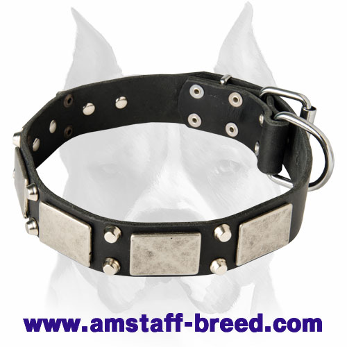 Fancy War Dog Leather Collar with Nickel Plated Decorations for Amstaff