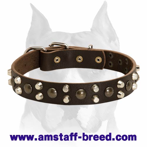 Outstanding Leather Dog Collar with Pyramids and Studs for Amstaff - Click Image to Close