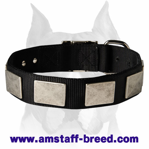 Medieval Style Nylon Dog Collar For Amstaff Breed