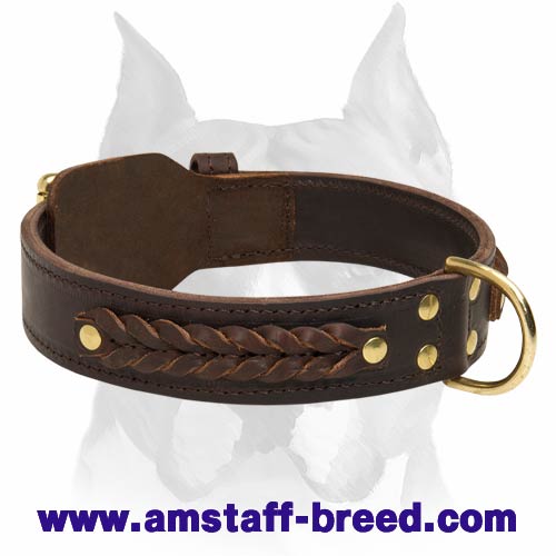 Gorgeous Braided Leather Amstaff Dog Collar