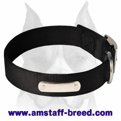 Practical 2 Ply Nylon Dog Collar with name tag for Amstaff