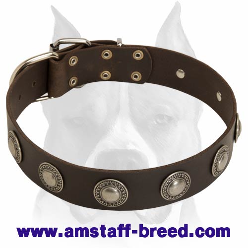 Cute leather dog collars online