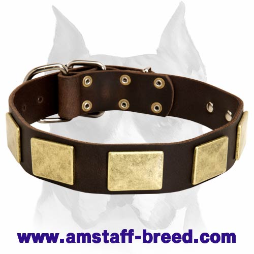 Excellent Amstaff Leather Dog Collar with Vintage Plates
