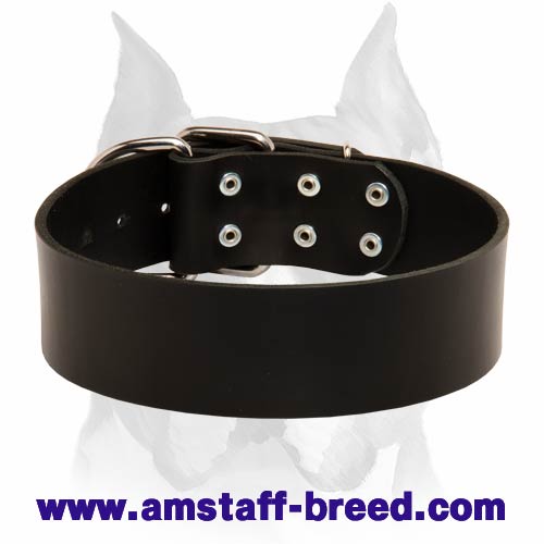 Extra Wide Classic Style Leather Dog Collar for Amstaff