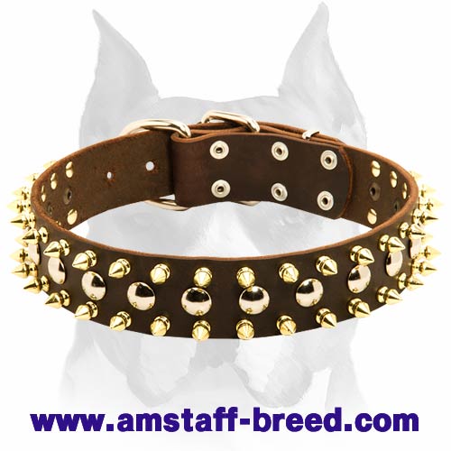 Gorgeous Amstaff Leather Dog Collar with 2 Rows of Brass Spikes and 1 row of Nickel Studs