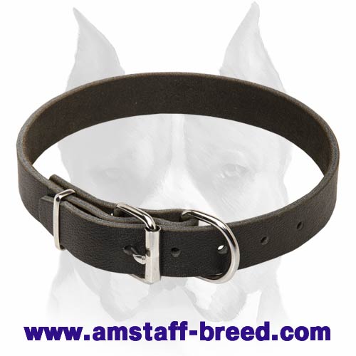 Classic Leather Dog Collar for Amstaff