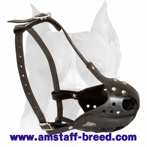 Police Training Leather Dog Muzzle for Amstaff Breed