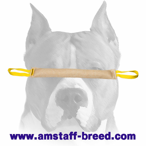 Amstaff Young Dog Bite Tug for Training and Improving Bite Skills