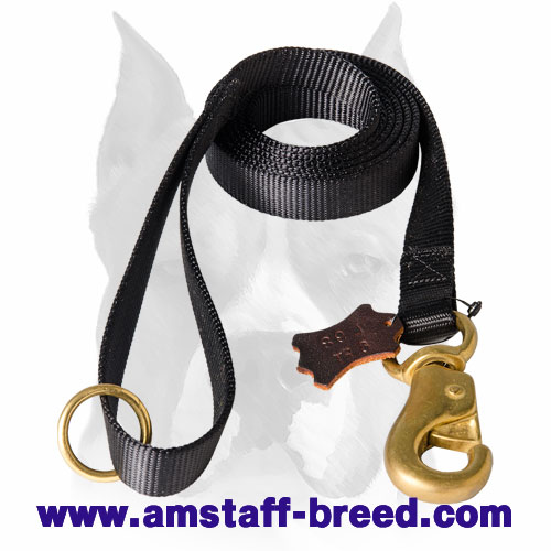 Amstaff Walking Nylon Dog Leash with Handle
