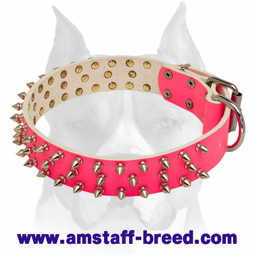 female dog collars and leashes
