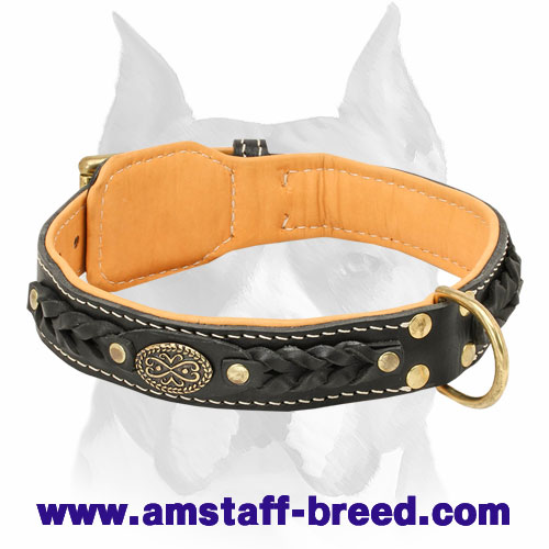 Amstaff Nappa Padded Braided Leather Dog Collar