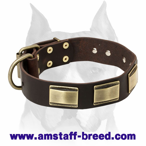 "Vogue Mania" Amstaff Vintage Style Leather Collar with Brass Plates