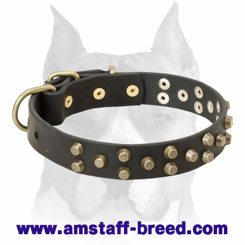 Amstaff Pure Leather Dog Collar with Brass-Plated Decorations and Buckle