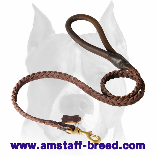 Amstaff Braided Leather Dog Leash with Handle