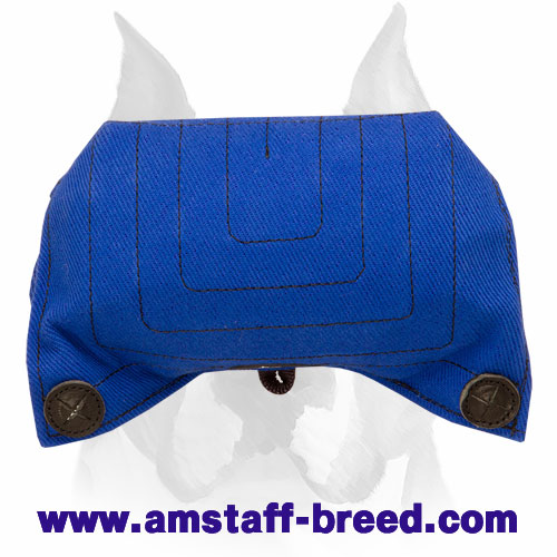 Amstaff Solid Puppy Bite Builder for Basic Bite Training - Click Image to Close