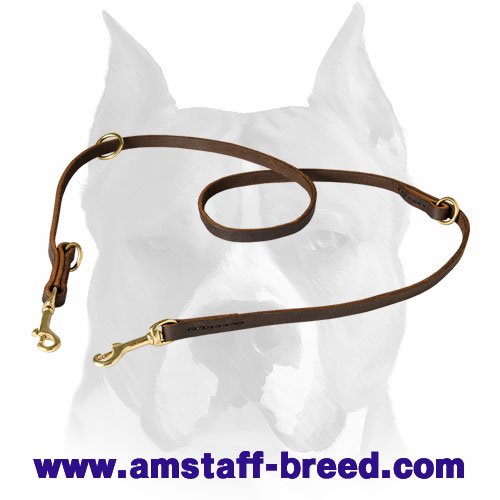 Amstaff Multifunctional Genuine Leather Dog Leash