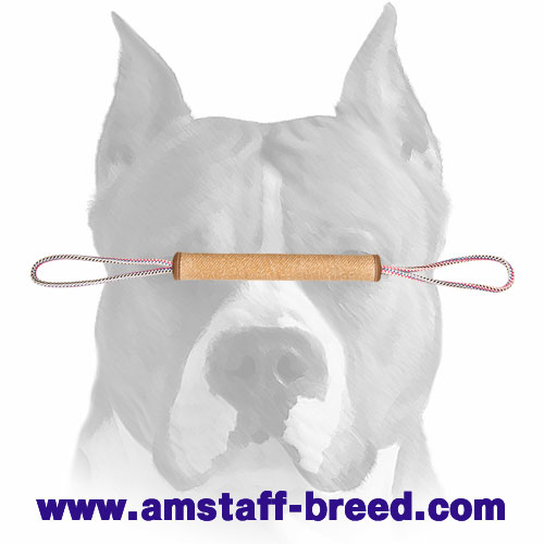 Amstaff Breed Jute Puppy Roll for Playing and Training