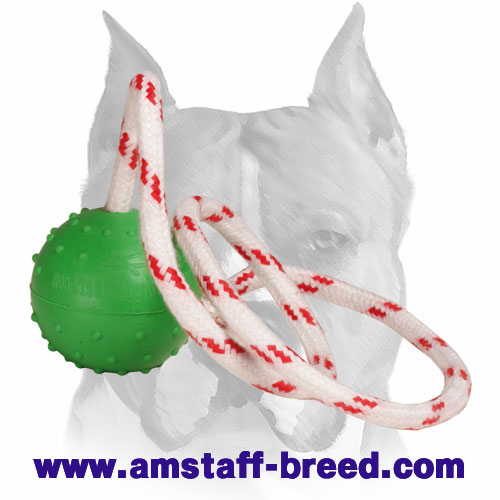 Amstaff Solid Rubber Ball with Dots for Training