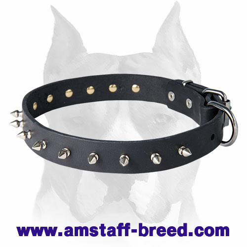 Amstaff Leather Dog Collar Decorated with 1 Row of Spikes