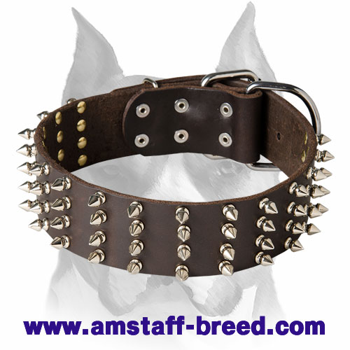 Amstaff Genuine Leather Dog Collar with 4 Rows of Spikes