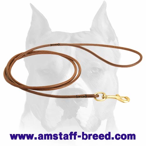 thin leather dog leash