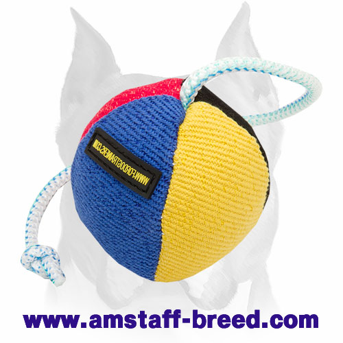 Amstaff Bite Training Puppy Toy with Nylon Rope