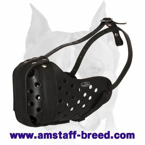 Leather Agitation Police Dog Muzzle-Amstaff TRAINING MUZZLE