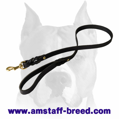Amstaff High-Quality Braided Leather Dog Leash
